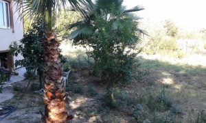 tirilyede-satilik-bahceli-ev