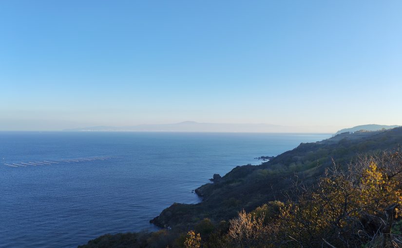 Tirilye Arsa, Tarla, Zeytinlik, Bahçe Fiyatları 2026